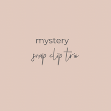 Load image into Gallery viewer, Mystery Snap Clip Trio